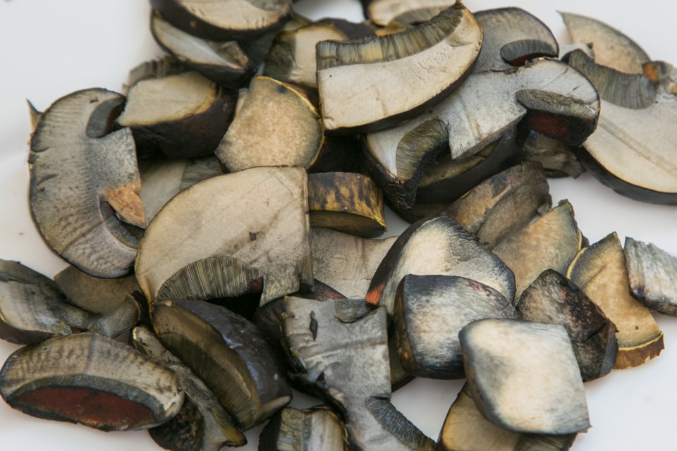 c9b1b2s 960 Как выглядит поддубовик на срезе