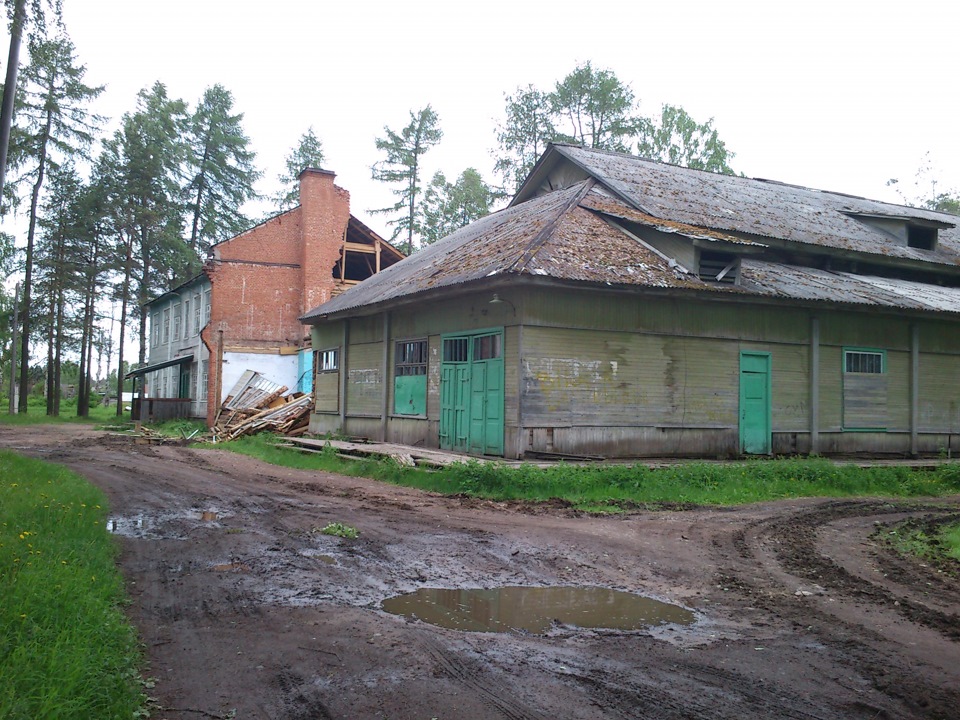 Гисметео самодед. Самодед Архангельская область.