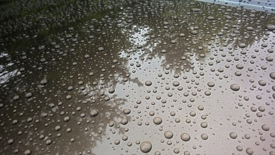 Полировка "Жидким стеклом". Часть 3 (заключительная). — Volkswagen ...