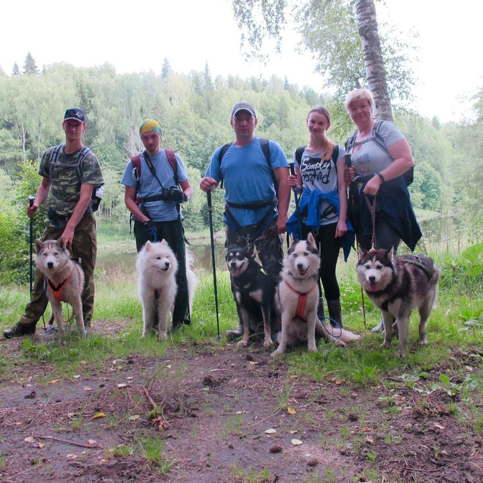 c9e1999s 960 догтреккинг это что такое