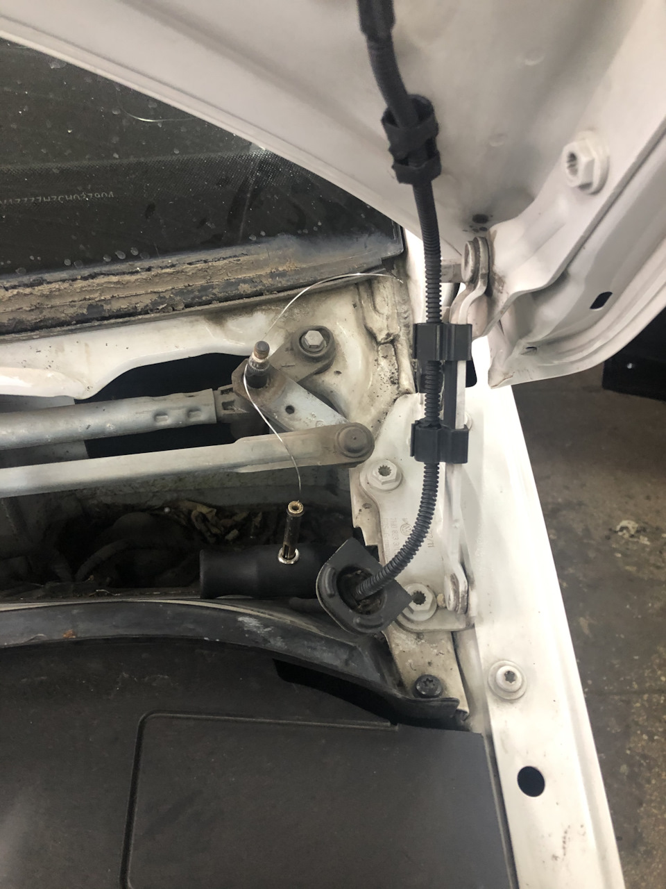 Прилетел камень в лобовое, ремонту не подлежало — Volkswagen ...