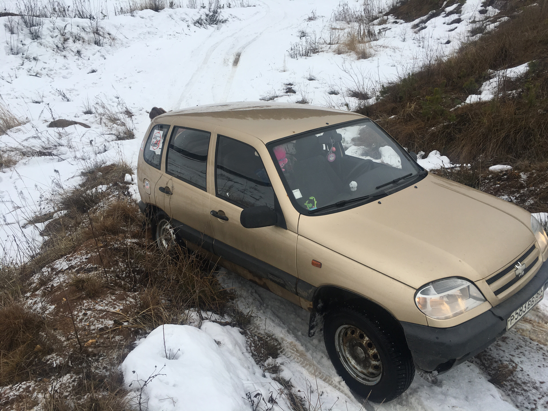 Автоэмаль Золотая Звезда 901 Купить