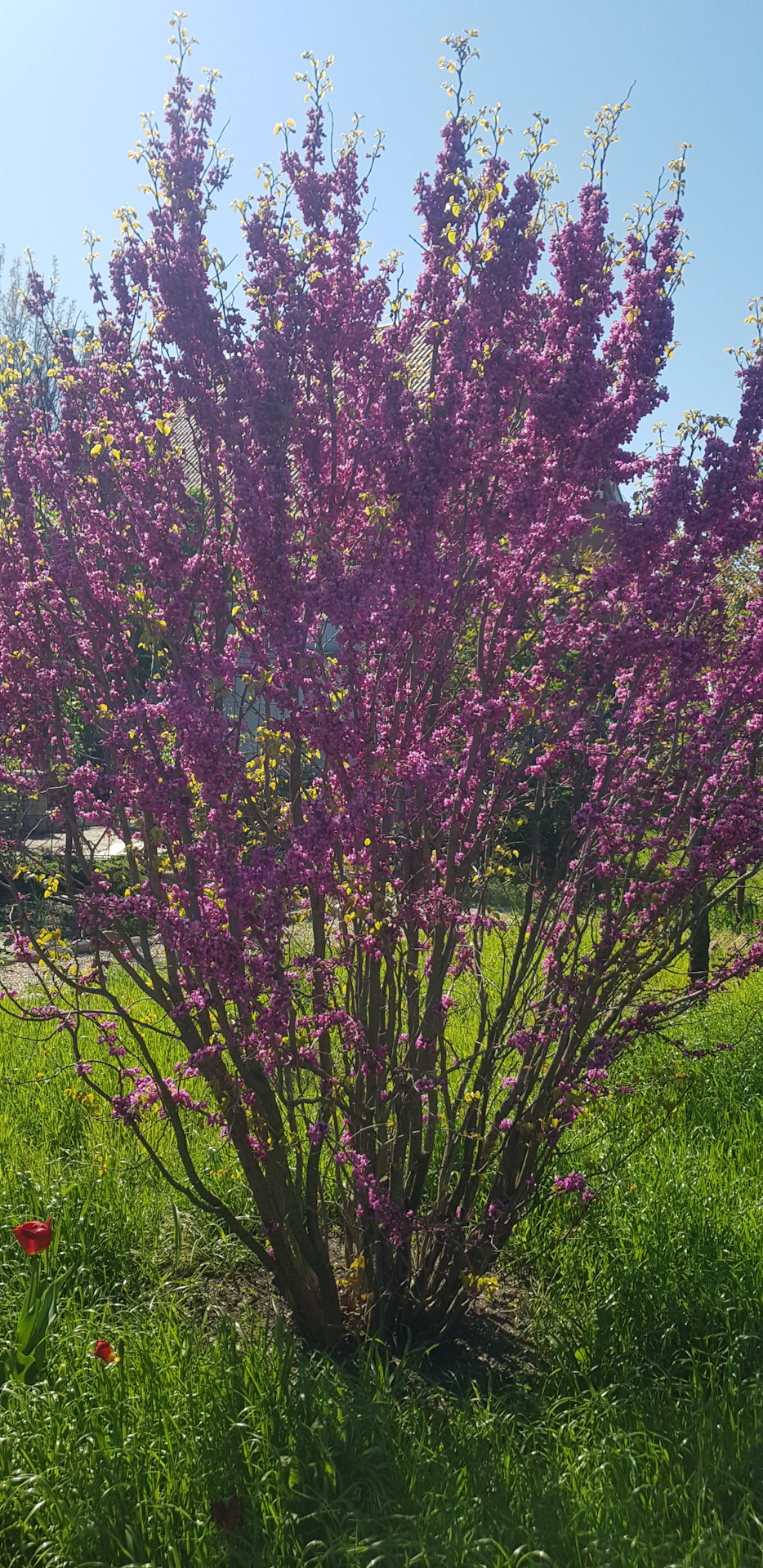 Фото в бортжурнале Honda Freed (2G)