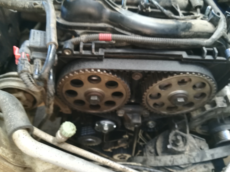 Замена комплекта ГРМ с помпой и приводного ремня с роликом — Lada ...