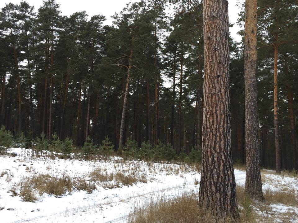 Фото в бортжурнале Chevrolet Niva (1G)