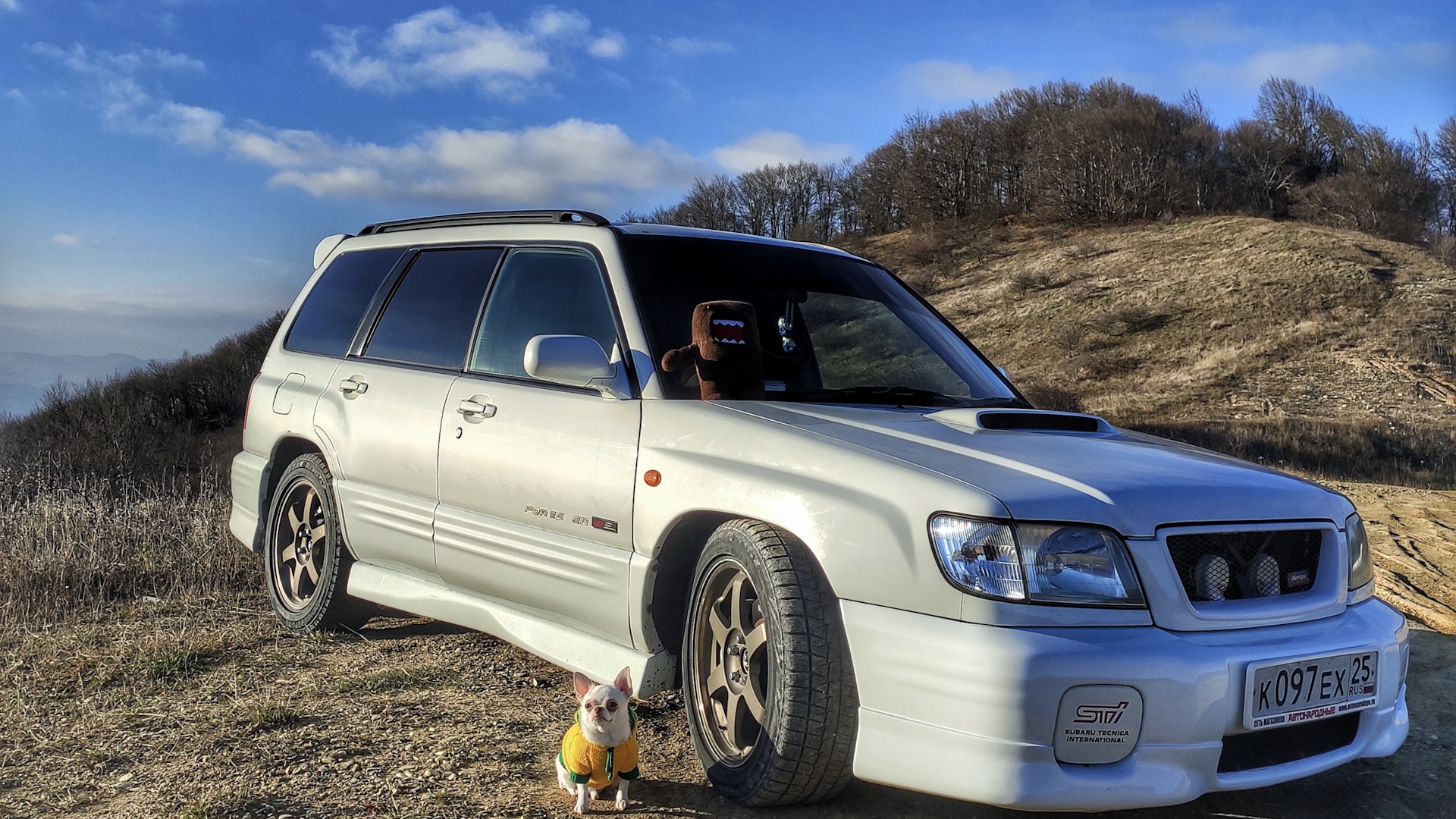 Forester 2001