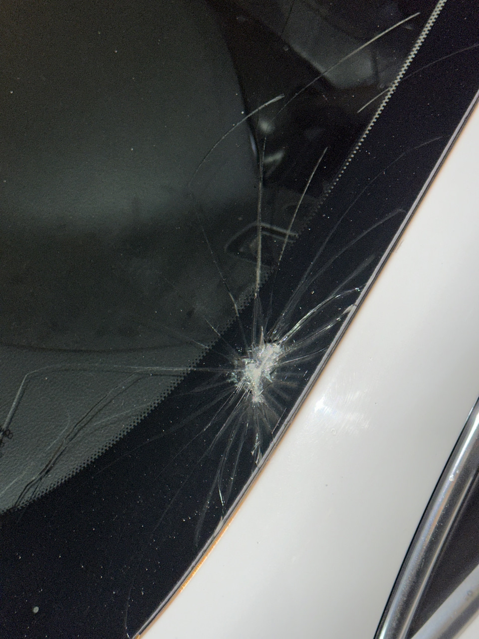 Фото в бортжурнале Opel Insignia (1G)