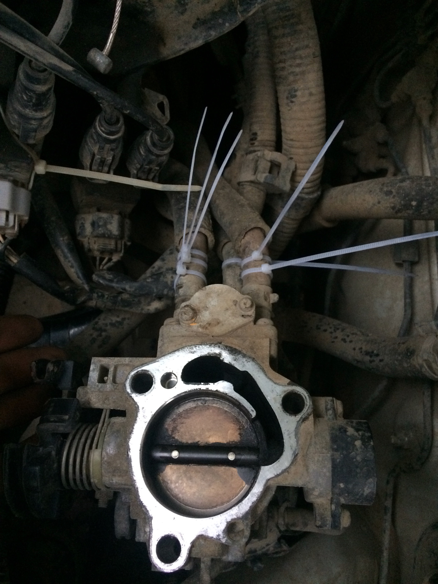 Дроссель — Toyota Curren, 1,8 л, 1998 года | своими руками | DRIVE2