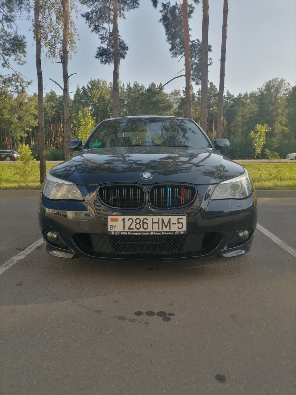 Бмв 5 синяя 2017. Bmw 540i g30. Bmw g30 цвет. Bmw 5 g30 серая. Bmw f10 2017.