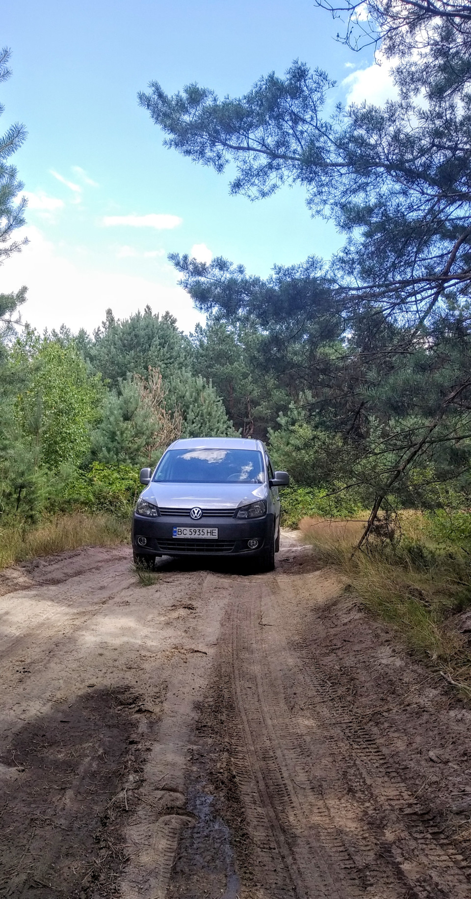 Полеуретановые стойки и втулки стабилизатора НЕТ ИЗНОСА Nissan qashqai ...