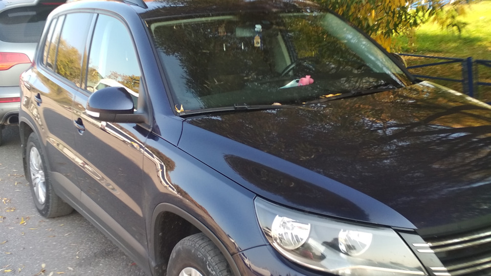 Volkswagen Tiguan САXAтый Tigga