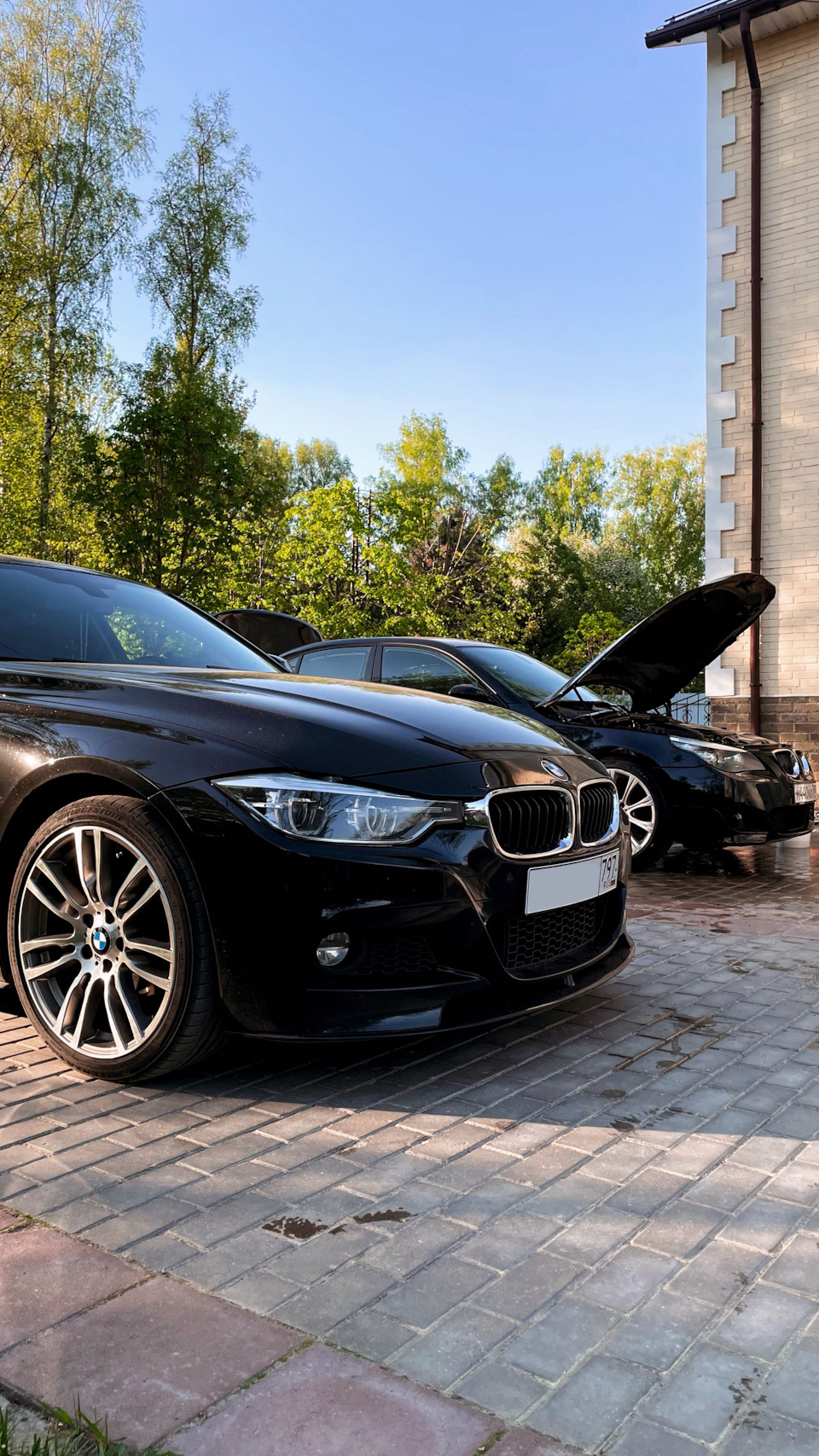 Фотография «Грязнуля»