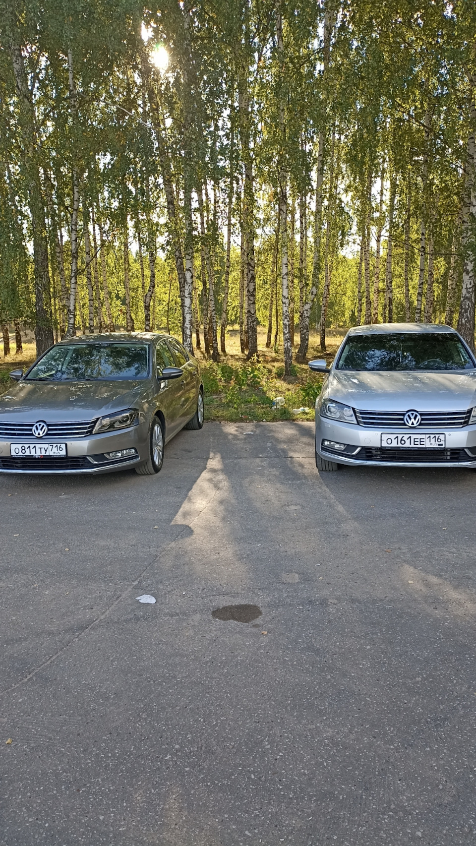 Новые знакомство и кодирование авто — Volkswagen Passat B7, 1,8 л, 2011  года | встреча | DRIVE2