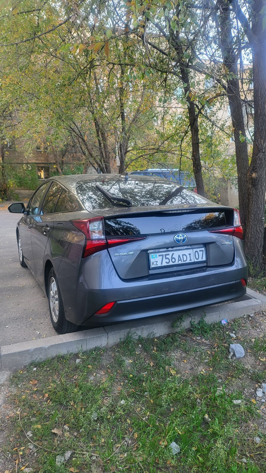 А вам тоже их жопа не нравиться? — Toyota Prius (50), 1,8 л, 2019 года |  наблюдение | DRIVE2