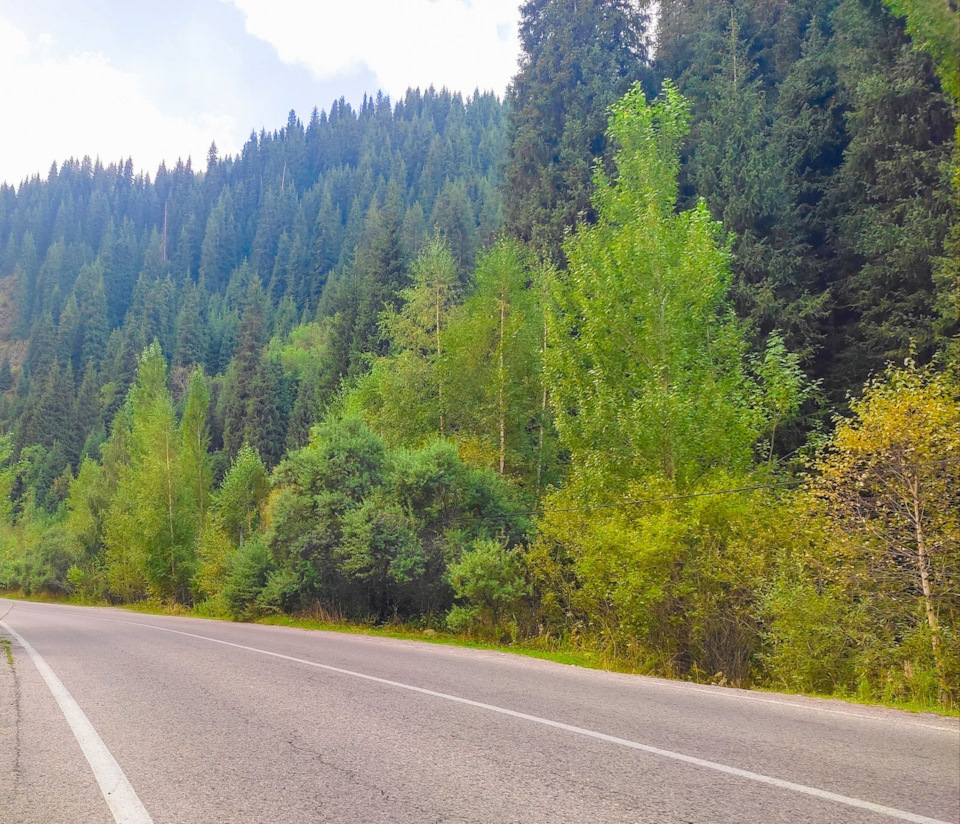 Фото в бортжурнале BMW 3 series (E36)