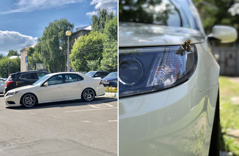 Природа любила SAAB. — Saab 9-3 (2G)