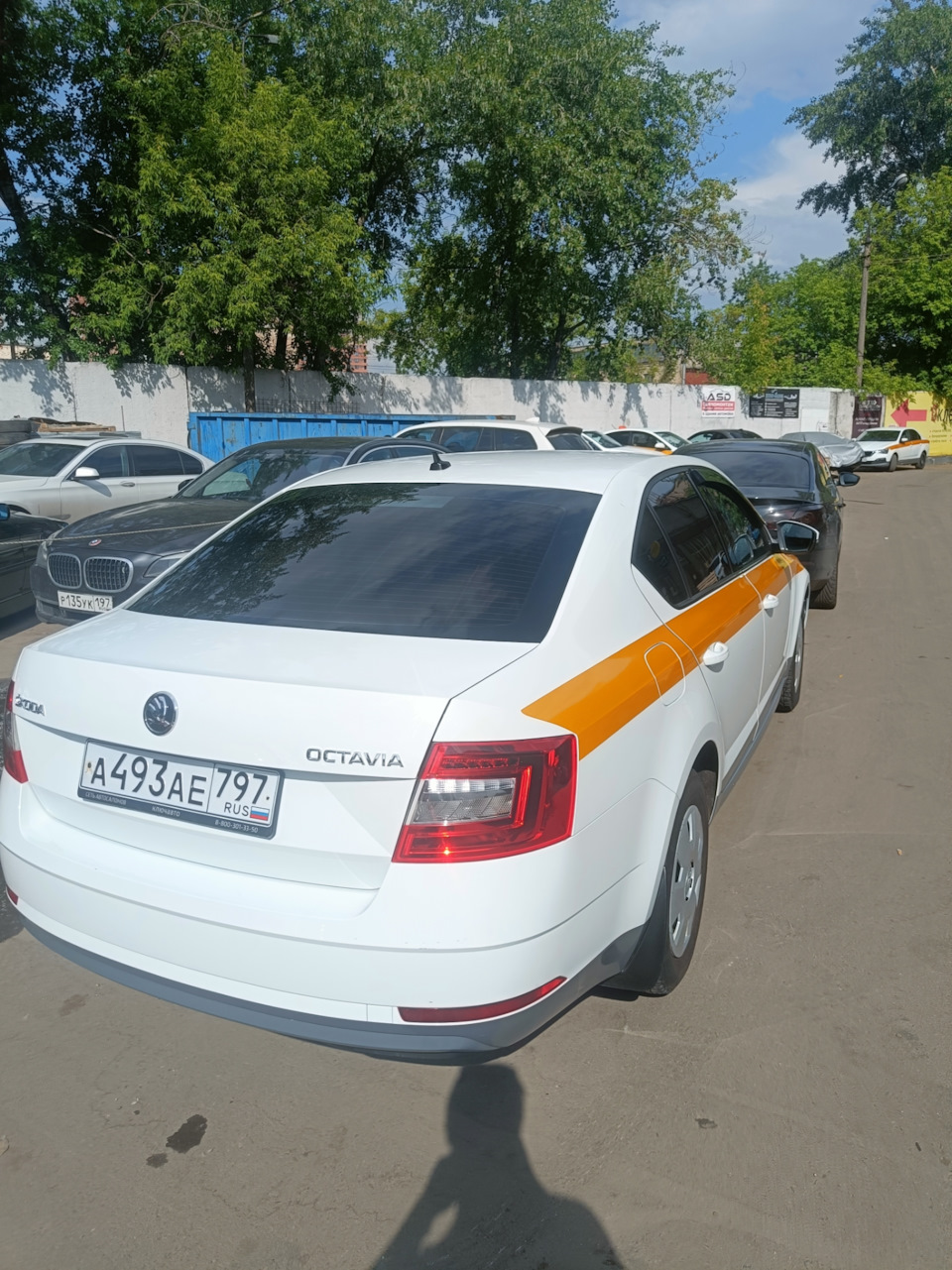 Почему я взял машину под такси ? Или как сделать авто активом — Skoda  Octavia A7 Mk3, 1,6 л, 2019 года | стайлинг | DRIVE2