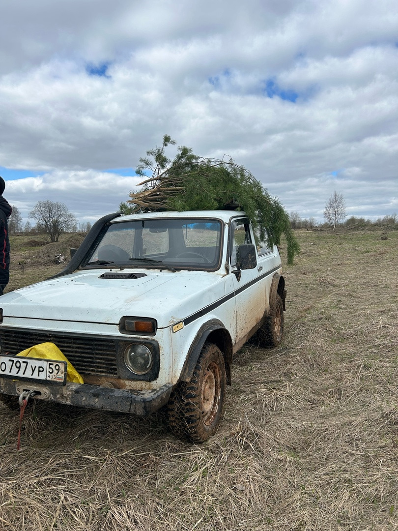 Естественная среда ч.5 открытие сезона — Lada 4x4 3D, 1,6 л, 1999 года |  покатушки | DRIVE2