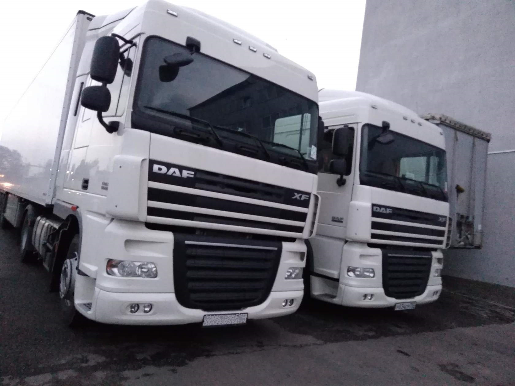 Грузовые машины разборка. DAF xf95 105. Фура DAF XF 105. Даф 95 105. DAF XF 85.