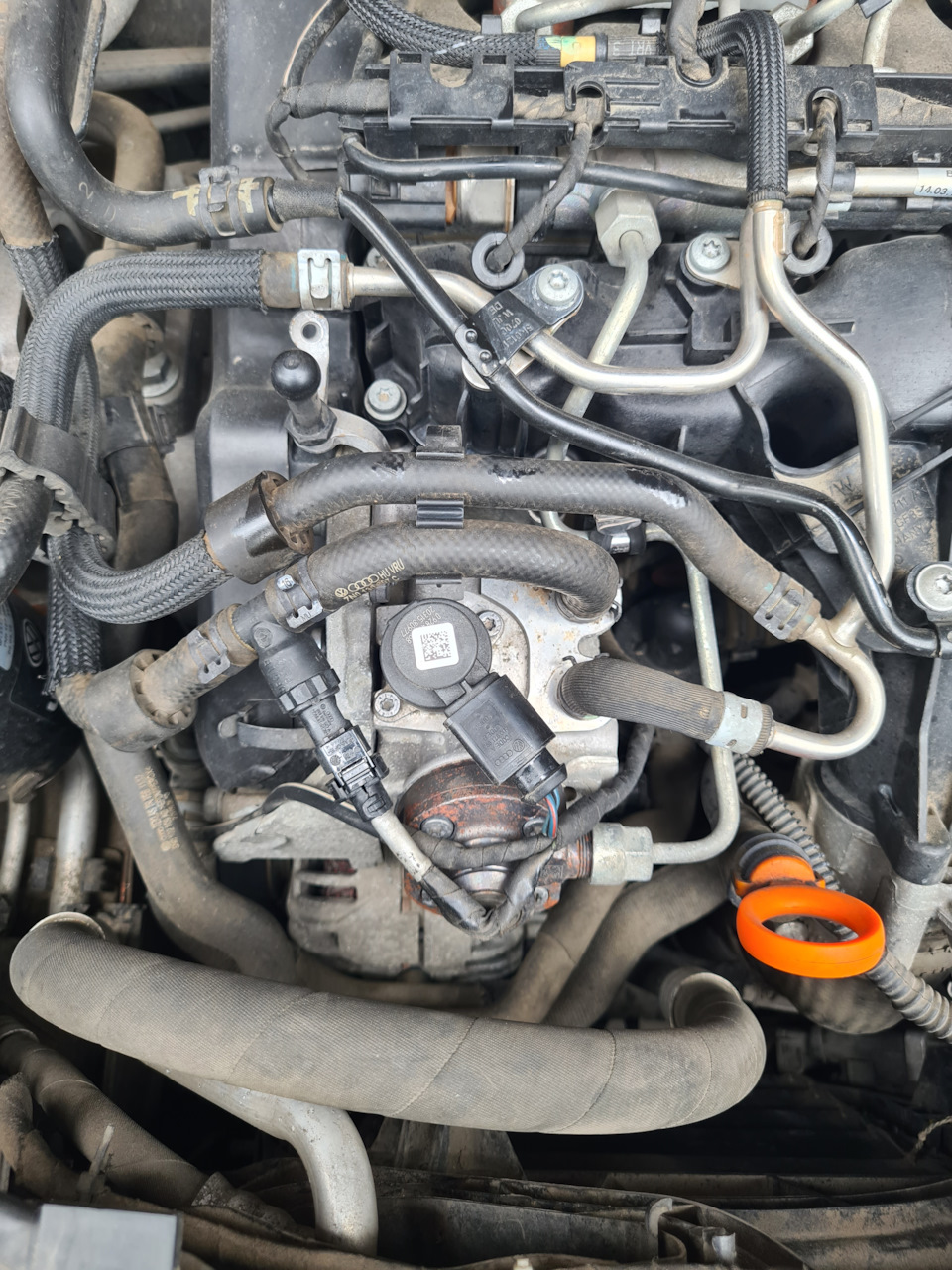 Заводское исполнение — Audi A4 Avant (B8)