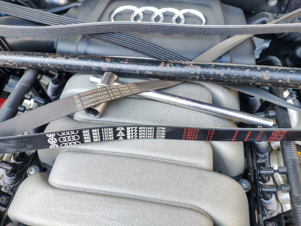 Старый конти и новый оригинал, родом из Тайланда — Audi A5 (1G). Запчасти на фото: 6PK2404