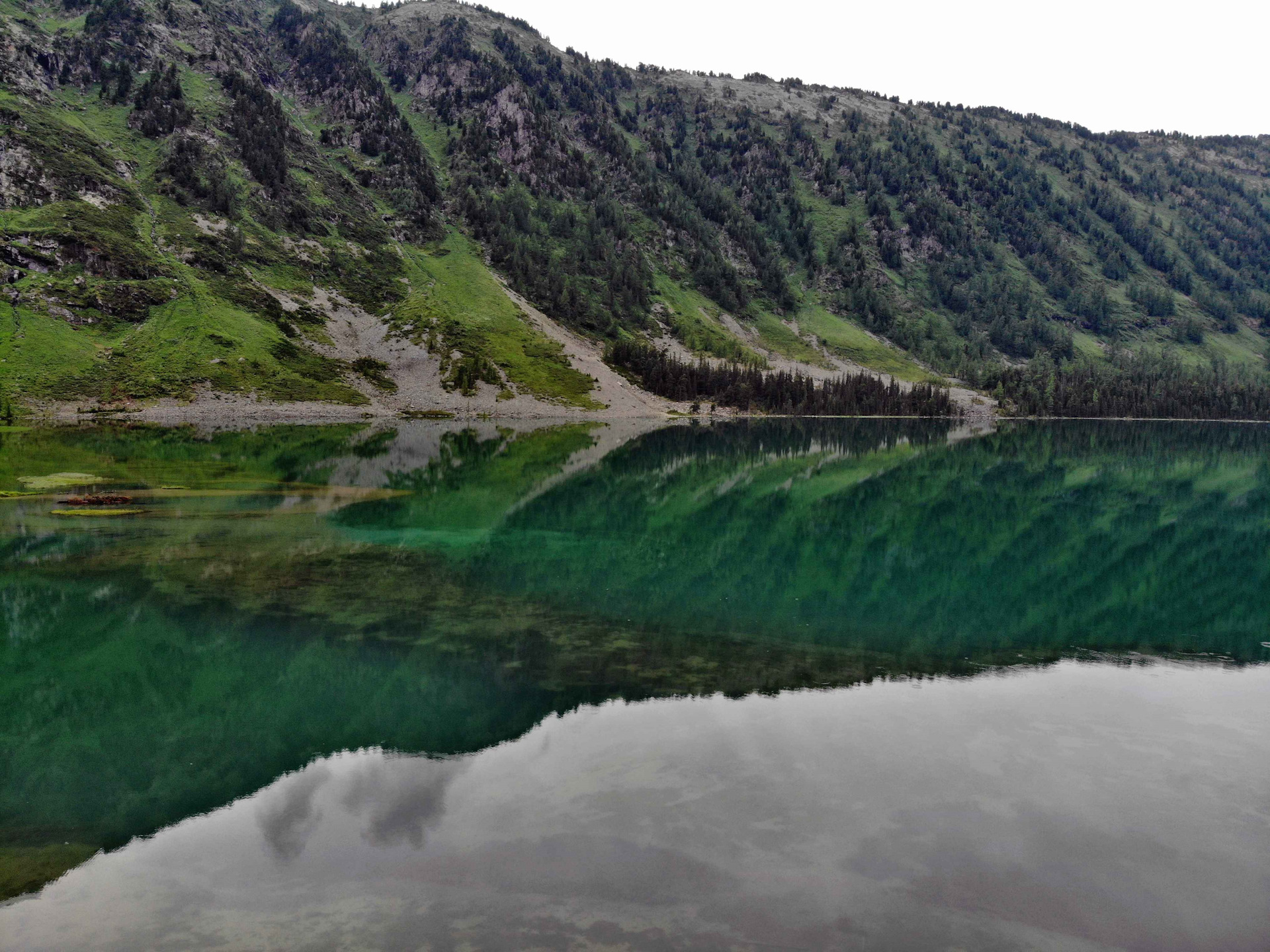 Озеро сели. Озеро Куреево Алтай. Село озеро Куреево Республика Алтай. Озеро-Куреево Турочакский район. Турочак озеро Куреево.