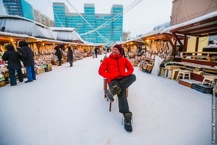 самая дорогая рыба якутии. Смотреть фото самая дорогая рыба якутии. Смотреть картинку самая дорогая рыба якутии. Картинка про самая дорогая рыба якутии. Фото самая дорогая рыба якутии самая дорогая рыба якутии. Смотреть фото самая дорогая рыба якутии. Смотреть картинку самая дорогая рыба якутии. Картинка про самая дорогая рыба якутии. Фото самая дорогая рыба якутии