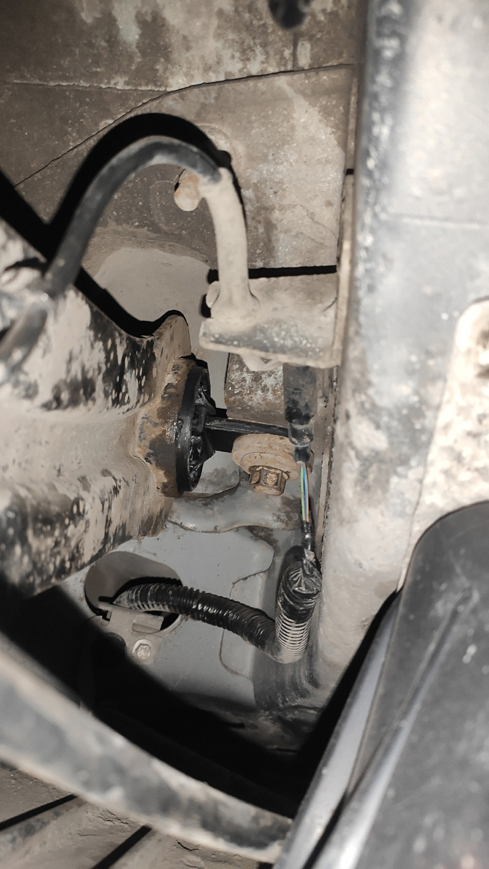 Фото в бортжурнале Ford Focus Hatchback III