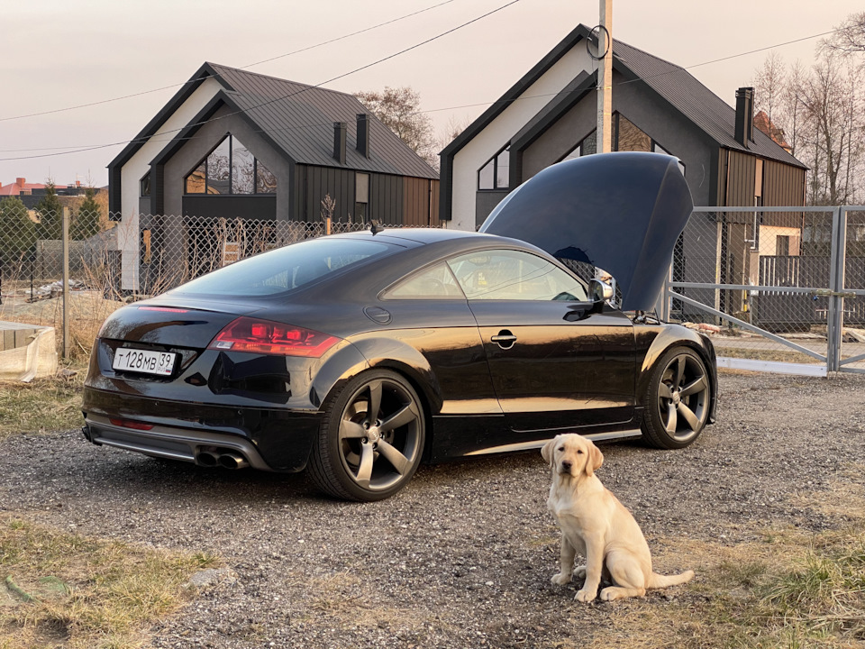 Порошковая покраска поводков дворников — Audi TTS, 2 л, 2008 года ...