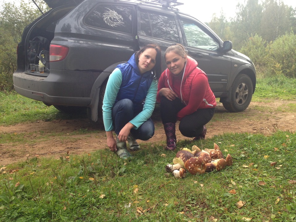 Фото в бортжурнале SsangYong Kyron