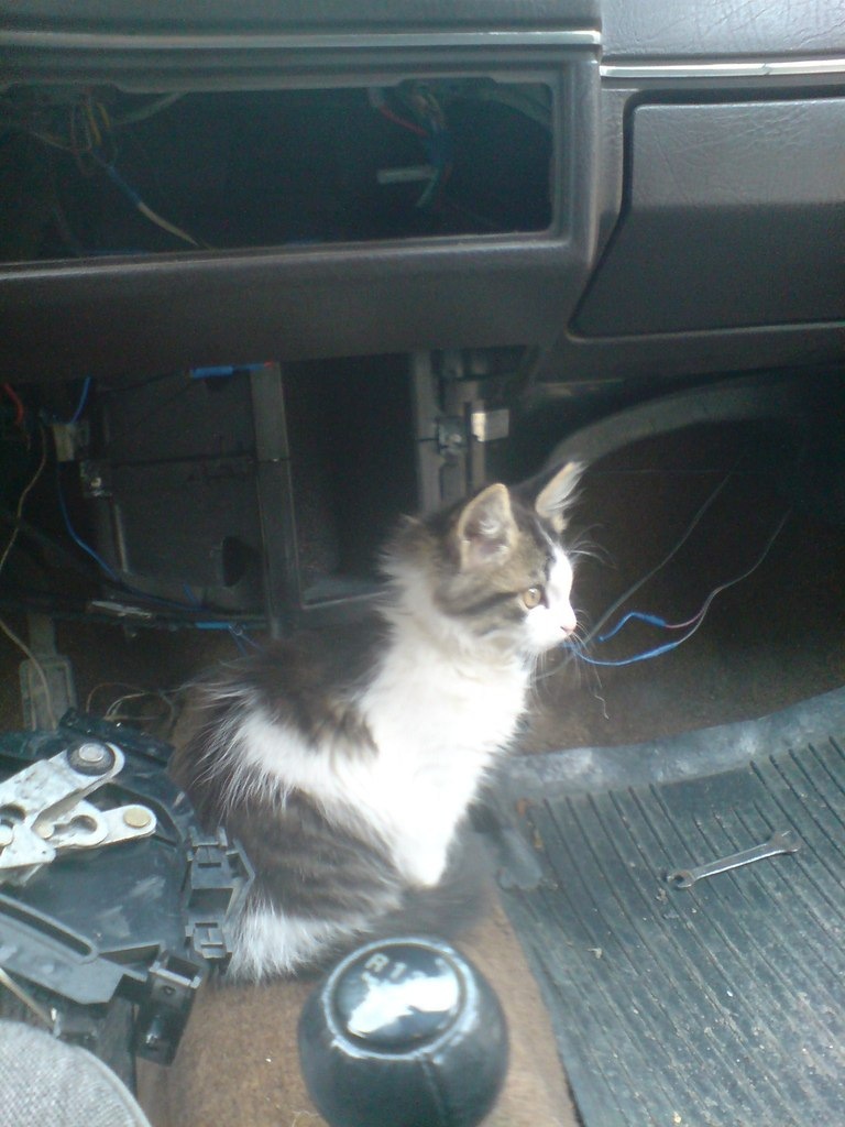 печка, заслонки и пр. ерунда — Volkswagen Golf Mk2, 1,6 л, 1985 года ...