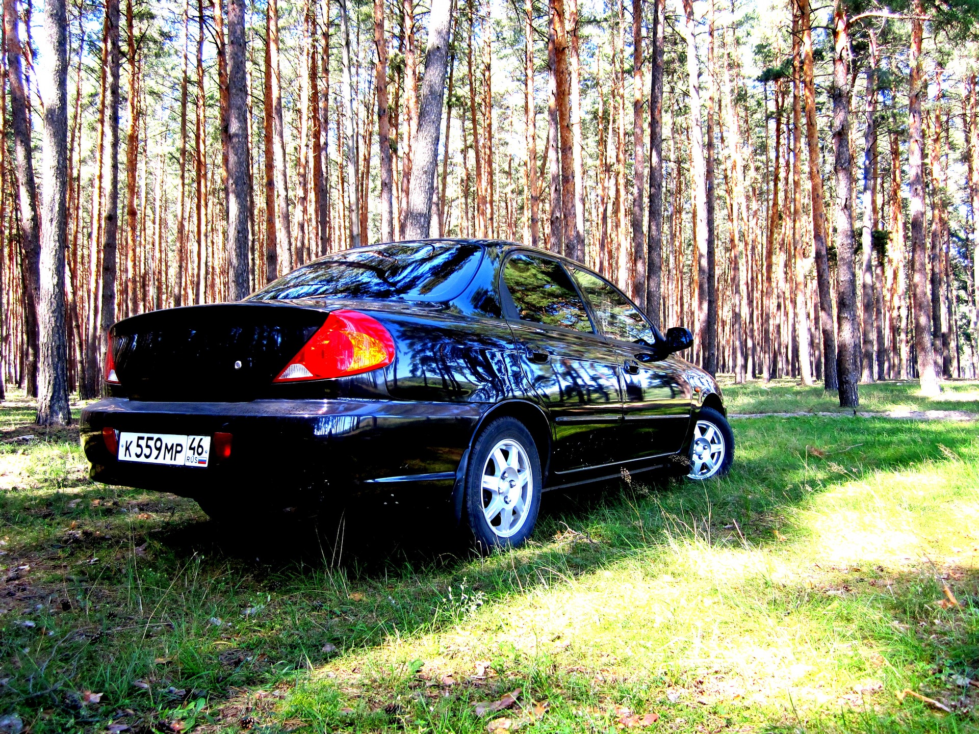 Фото kia spectra черного цвета