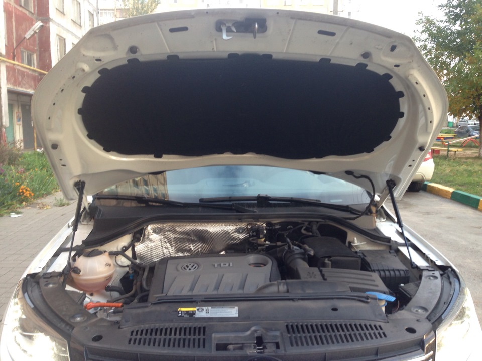 Газовые упоры под капот и клипсы на обшивку — Volkswagen Tiguan (1G), 2 ...