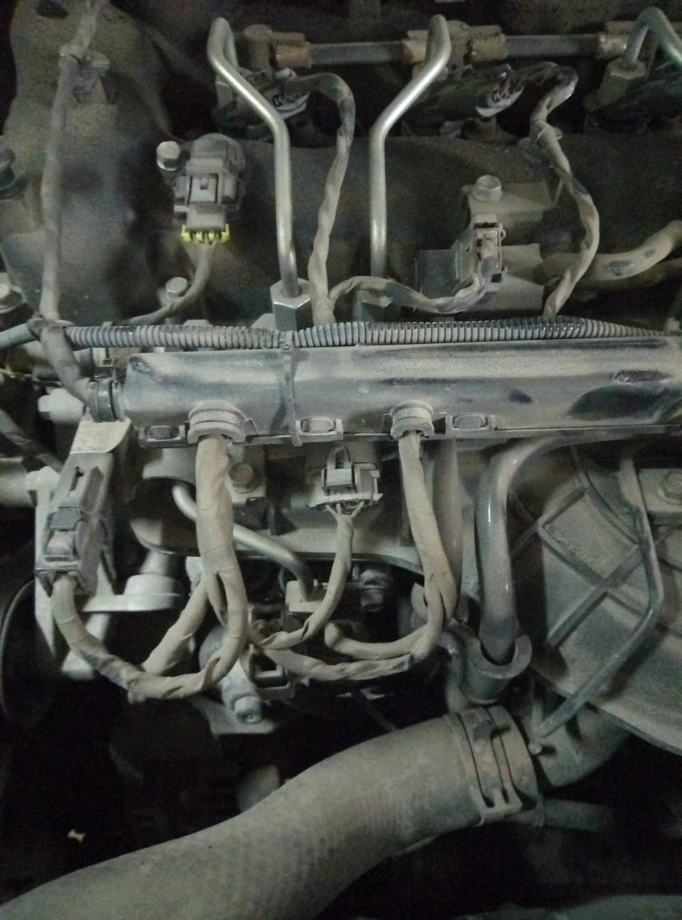 Фото в бортжурнале KIA Sorento (2G)