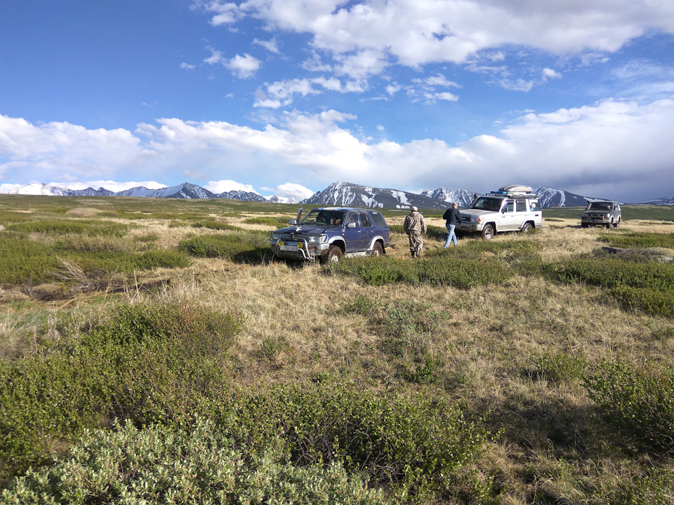 Фото в бортжурнале Toyota Hilux Surf (2G)