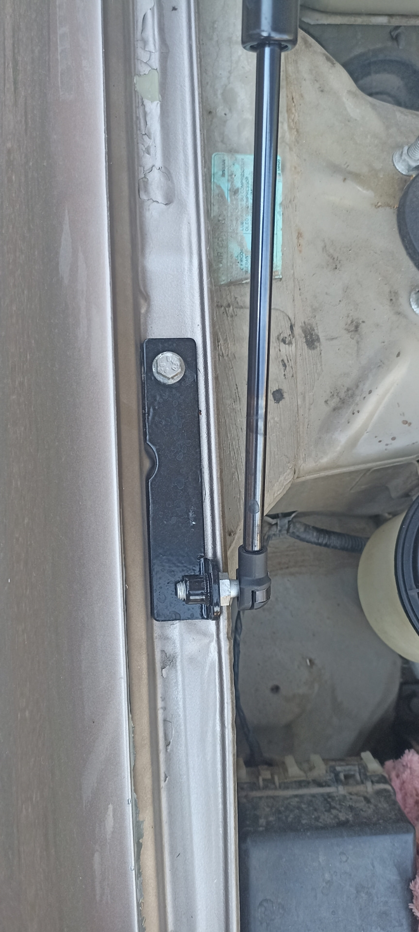 Фото в бортжурнале Nissan Almera II (N16)