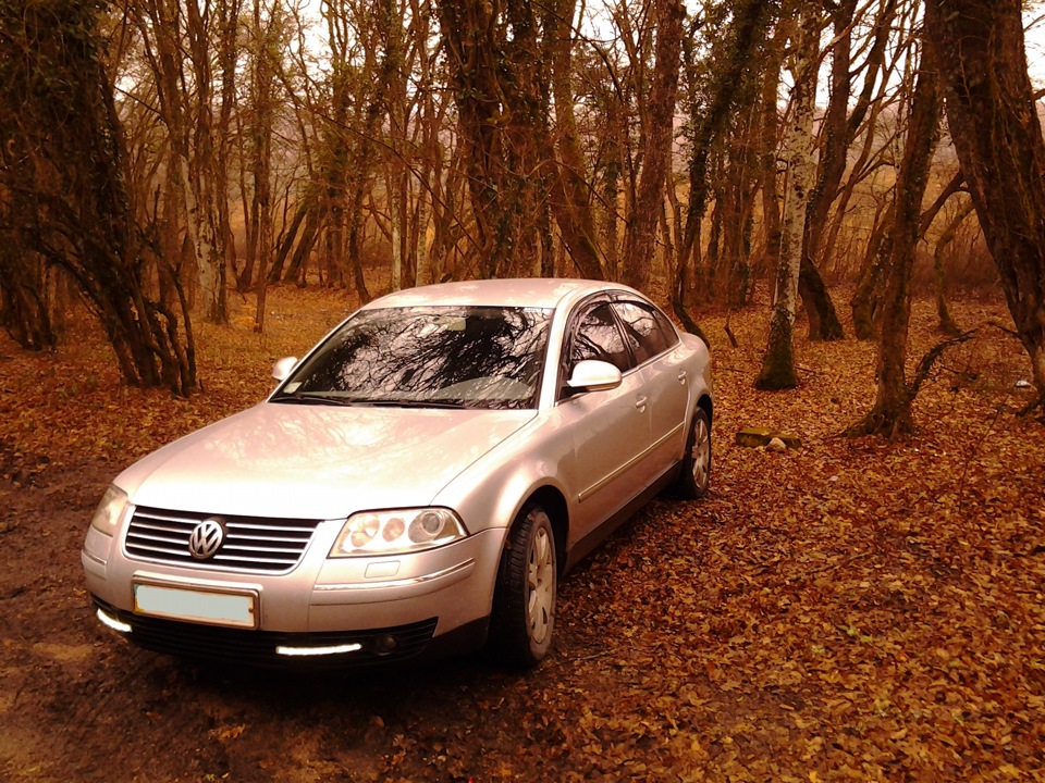 леса, вестимо… — Volkswagen Passat B5, 2,8 л, 2006 года | просто так .