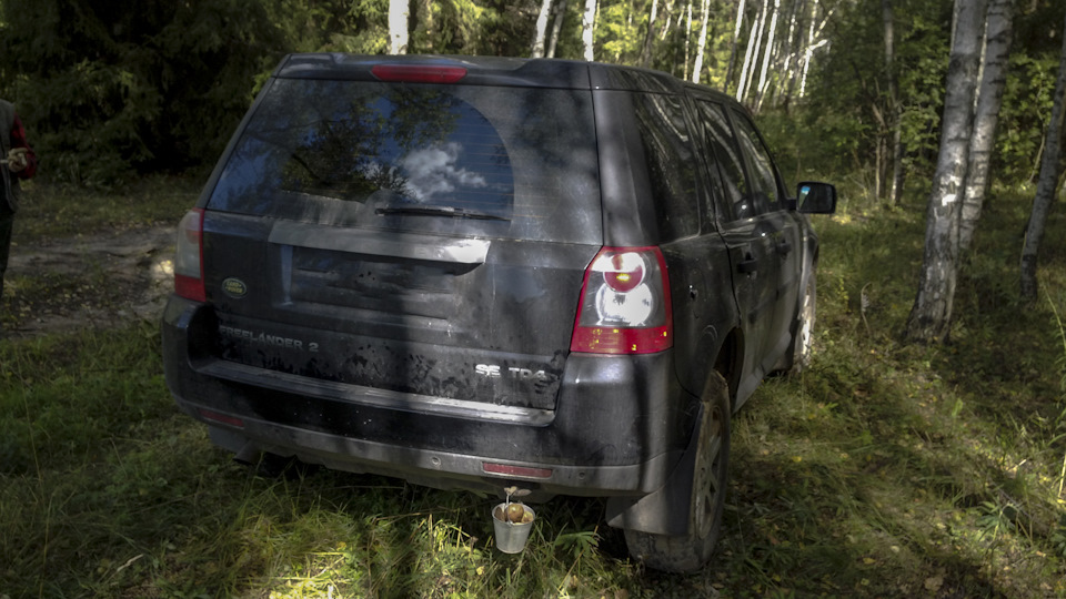 Фото в бортжурнале Land Rover Freelander 2