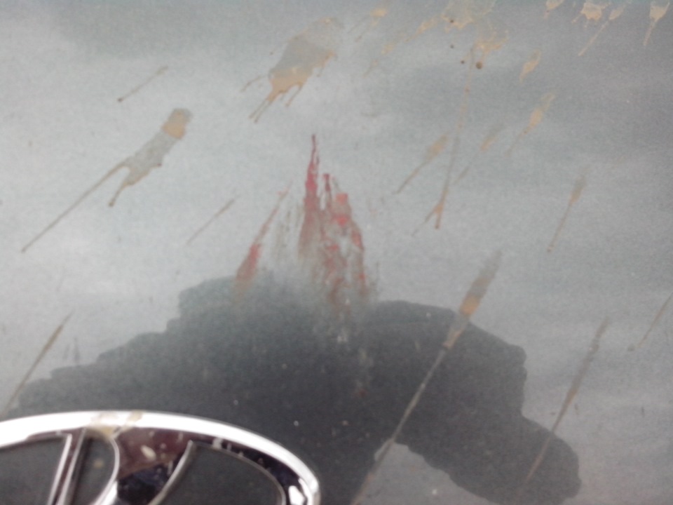 Птичку жалко, или Как Я колеса ездил балансировать — Lada 2114, 1,6 л ...