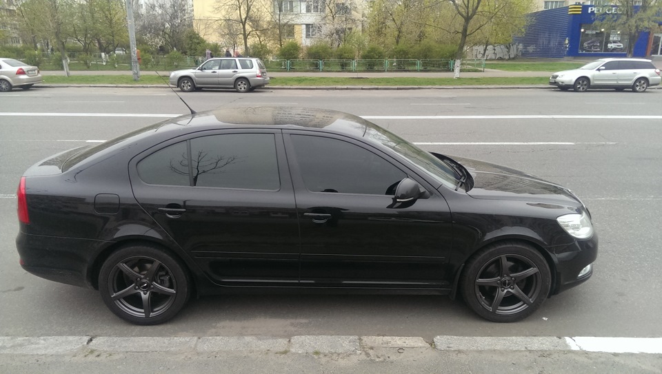 Черная Октавия а5 50