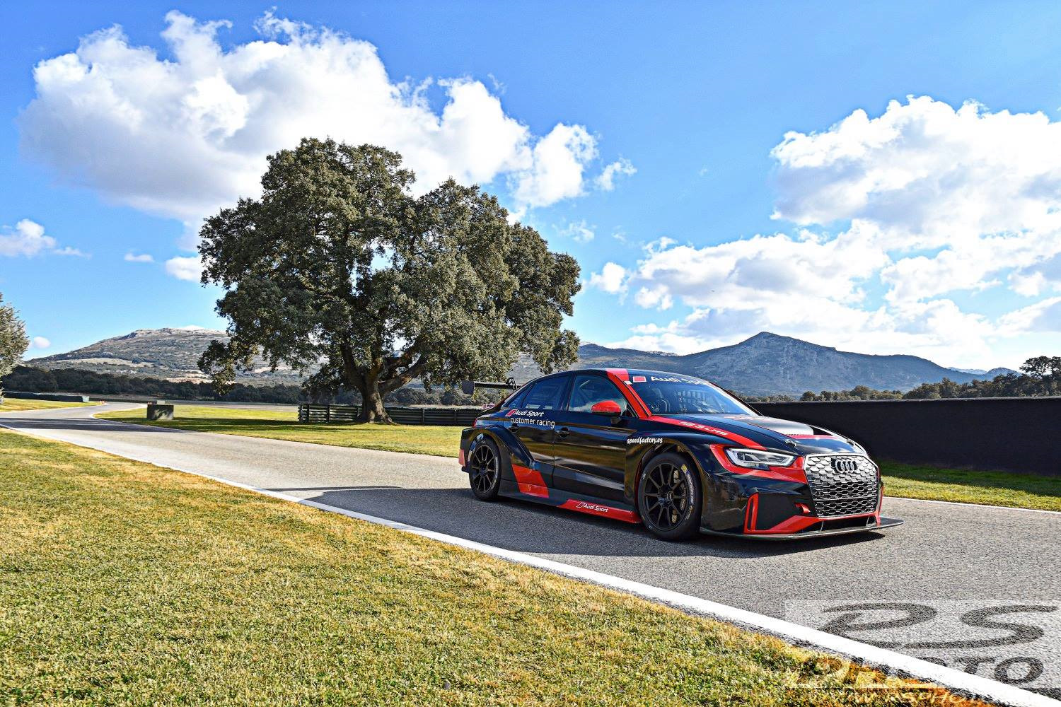 Audi rs3 TCR