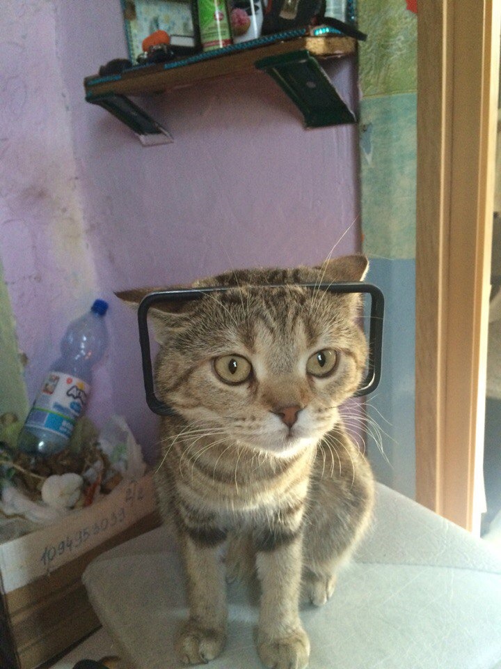 #4 Ничего особенного просто сварка глушителя — Toyota Crown (S130), 2 л ...