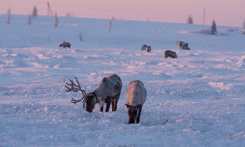 Фото в бортжурнале Mitsubishi L200 (4G)