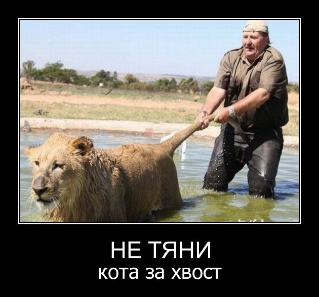 Тянуть кота за хвост