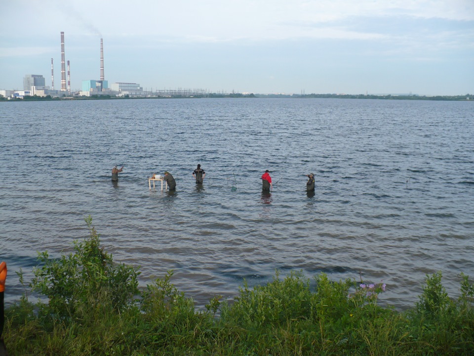 Новомичуринском водохранилище