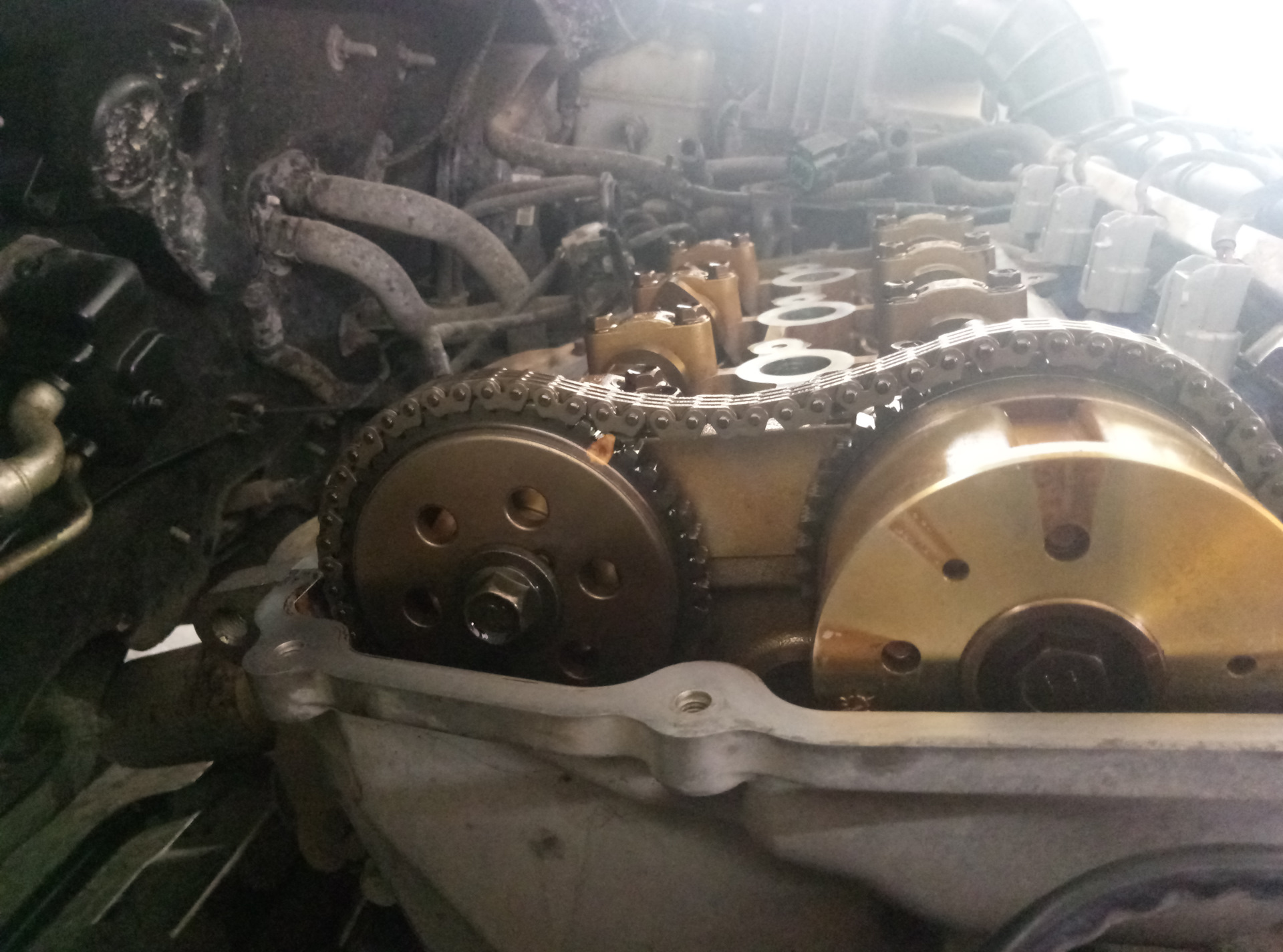 Действие седьмое. Златая цепь на дубе том. — KIA Ceed (1G), 1,6 л, 2011 ...