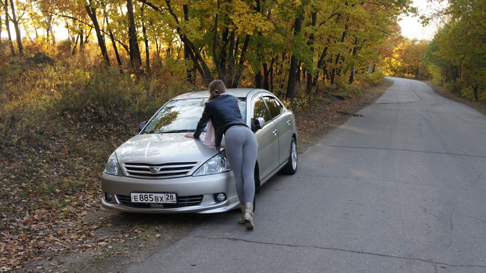 ходовые огни на toyota allion ходовые огни на toyota allion