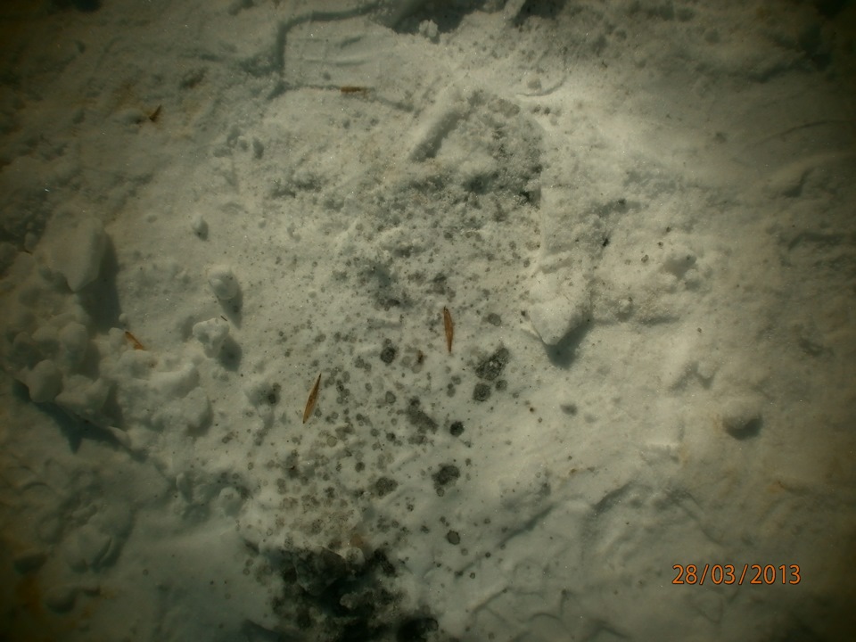 сажа из трубы и белый конденцат на крышке — Mercedes-Benz 190 (W201), 2 ...