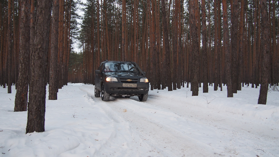 Фото в бортжурнале Chevrolet Niva (1G)