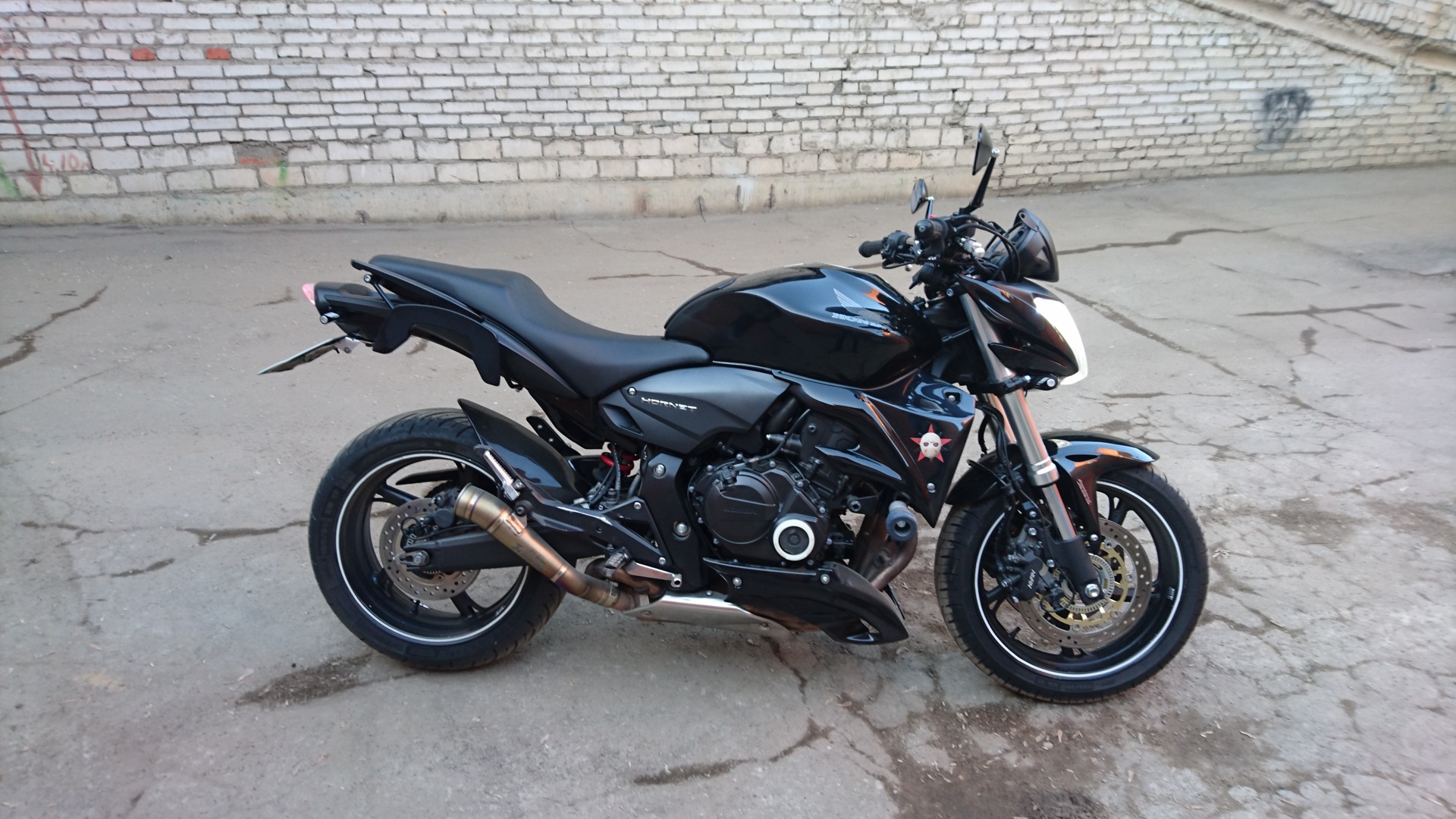 Honda hornet 250 фото